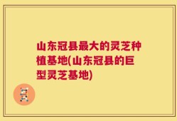 山东冠县最大的灵芝种植基地(山东冠县的巨型灵芝基地)