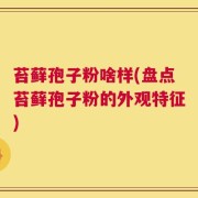 苔藓孢子粉啥样(盘点苔藓孢子粉的外观特征)