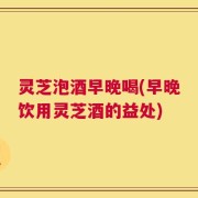 灵芝泡酒早晚喝(早晚饮用灵芝酒的益处)