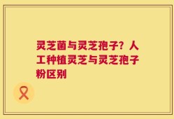 灵芝菌与灵芝孢子？人工种植灵芝与灵芝孢子粉区别
