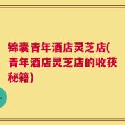锦囊青年酒店灵芝店(青年酒店灵芝店的收获秘籍)