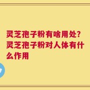 灵芝孢子粉有啥用处？灵芝孢子粉对人体有什么作用