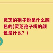 灵芝的孢子粉是什么颜色的(灵芝孢子粉的颜色是什么？)