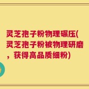 灵芝孢子粉物理碾压(灵芝孢子粉被物理研磨，获得高品质细粉)
