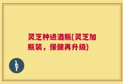 灵芝种进酒瓶(灵芝加瓶装，保健再升级)