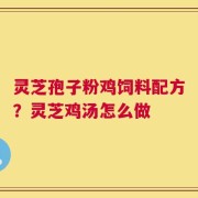 灵芝孢子粉鸡饲料配方？灵芝鸡汤怎么做