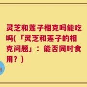 灵芝和莲子相克吗能吃吗(「灵芝和莲子的相克问题」：能否同时食用？)