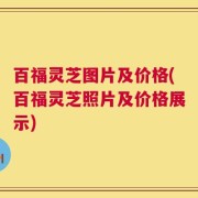百福灵芝图片及价格(百福灵芝照片及价格展示)