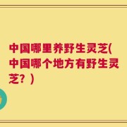 中国哪里养野生灵芝(中国哪个地方有野生灵芝？)