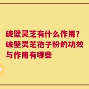 破壁灵芝有什么作用？破壁灵芝孢子粉的功效与作用有哪些
