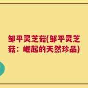 邹平灵芝菇(邹平灵芝菇：崛起的天然珍品)