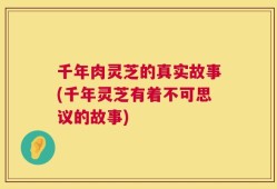 千年肉灵芝的真实故事(千年灵芝有着不可思议的故事)