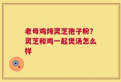 老母鸡炖灵芝孢子粉？灵芝和鸡一起煲汤怎么样