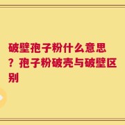 破壁孢子粉什么意思 ？孢子粉破壳与破壁区别