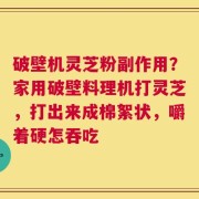 破壁机灵芝粉副作用？家用破壁料理机打灵芝，打出来成棉絮状，嚼着硬怎吞吃