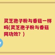 灵芝孢子粉与香菇一样吗(灵芝孢子粉与香菇同功效？)