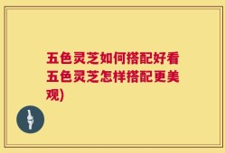 五色灵芝如何搭配好看五色灵芝怎样搭配更美观)