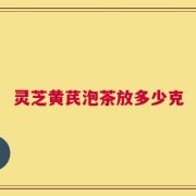 灵芝黄芪泡茶放多少克