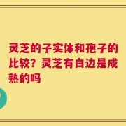 灵芝的子实体和孢子的比较？灵芝有白边是成熟的吗