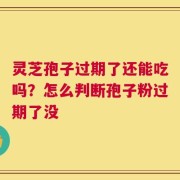 灵芝孢子过期了还能吃吗？怎么判断孢子粉过期了没