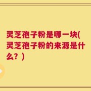 灵芝孢子粉是哪一块(灵芝孢子粉的来源是什么？)