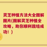 灵芝种植方法大全图解图片(图解灵芝种植全攻略，助你顺利栽培成功！)