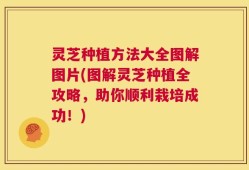 灵芝种植方法大全图解图片(图解灵芝种植全攻略，助你顺利栽培成功！)