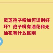 灵芝孢子粉如何识别好坏？孢子粉有油花和无油花有什么区别