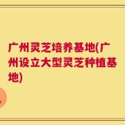 广州灵芝培养基地(广州设立大型灵芝种植基地)