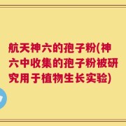 航天神六的孢子粉(神六中收集的孢子粉被研究用于植物生长实验)