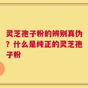 灵芝孢子粉的辨别真伪？什么是纯正的灵芝孢子粉