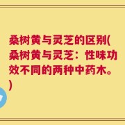 桑树黄与灵芝的区别(桑树黄与灵芝：性味功效不同的两种中药木。)