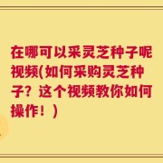 在哪可以采灵芝种子呢视频(如何采购灵芝种子？这个视频教你如何操作！)