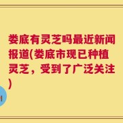 娄底有灵芝吗最近新闻报道(娄底市现已种植灵芝，受到了广泛关注)