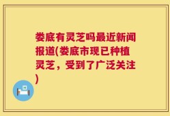 娄底有灵芝吗最近新闻报道(娄底市现已种植灵芝，受到了广泛关注)