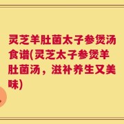 灵芝羊肚菌太子参煲汤食谱(灵芝太子参煲羊肚菌汤，滋补养生又美味)