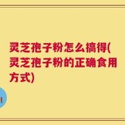 灵芝孢子粉怎么搞得(灵芝孢子粉的正确食用方式)