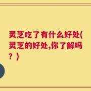 灵芝吃了有什么好处(灵芝的好处,你了解吗？)