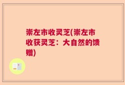 崇左市收灵芝(崇左市收获灵芝：大自然的馈赠)