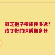 灵芝孢子粉能传多远？孢子粉的保质期多长