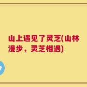 山上遇见了灵芝(山林漫步，灵芝相遇)