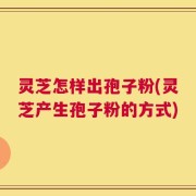 灵芝怎样出孢子粉(灵芝产生孢子粉的方式)