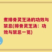 煮排骨灵芝汤的功效与禁忌(排骨灵芝汤：功效与禁忌一览)