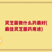 灵芝菌做什么药最好(最佳灵芝菌药用途)