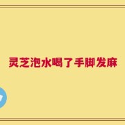 灵芝泡水喝了手脚发麻