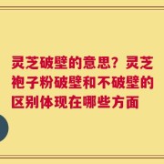 灵芝破壁的意思？灵芝袍子粉破壁和不破壁的区别体现在哪些方面