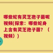 哪些蛇有灵芝孢子菌呢视频(探索：哪些蛇身上含有灵芝孢子菌？（视频）)