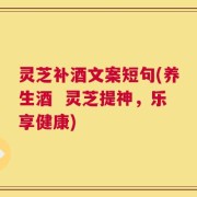 灵芝补酒文案短句(养生酒  灵芝提神，乐享健康)