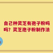 自己种灵芝有孢子粉吗吗？灵芝孢子粉制作法