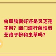 虫草胶囊好还是灵芝孢子粉？幽门螺杆菌怕灵芝孢子粉和虫草吗？